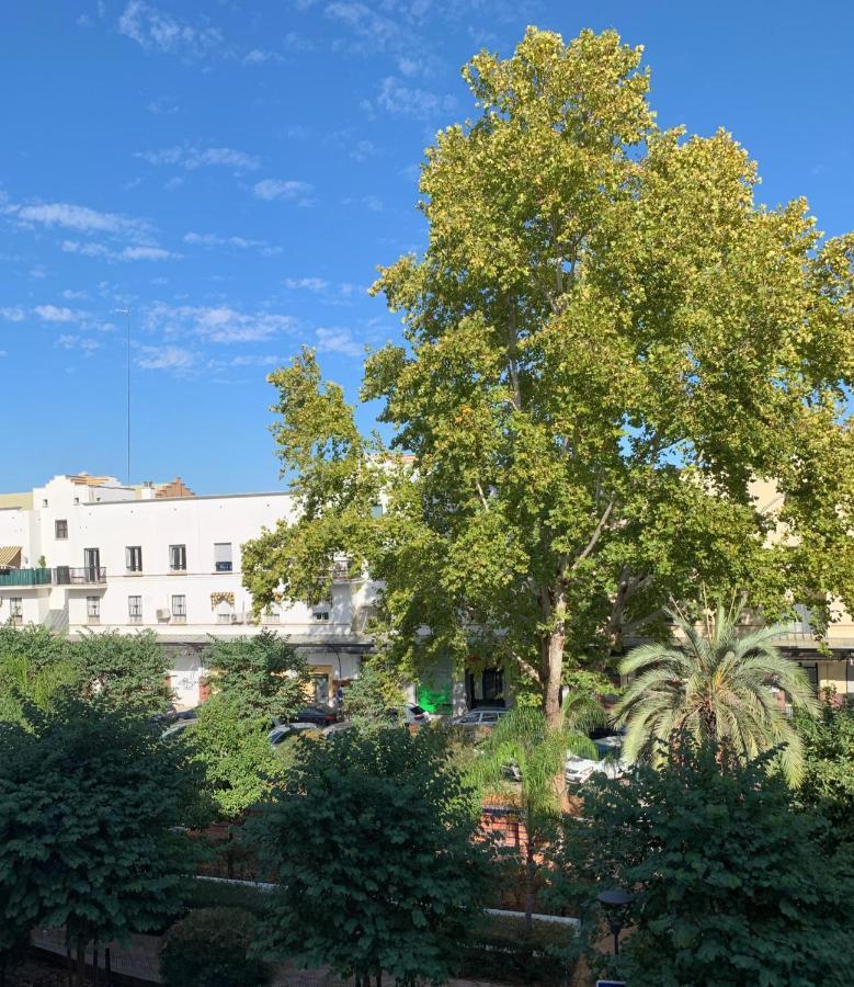 Acogedor Apartamento En Pleno Corazon De Triana Σεβίλλη Εξωτερικό φωτογραφία